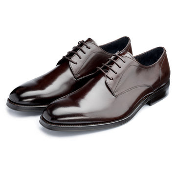Wilms Derby Shoes in Brown